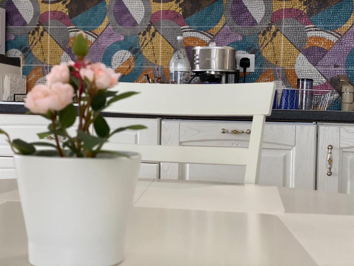 Sunny Deluxe Apartment Cosmopolis Stefanestii de Jos 외부 사진
